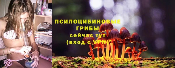 мяу мяу мука Абдулино